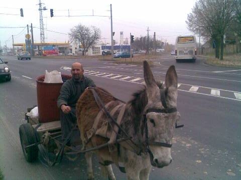 Engem már nem érintenek az üzemanyag árak