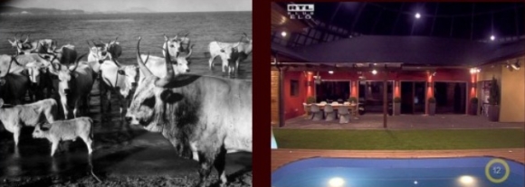 Sok marha egy helyen - régen és most ...