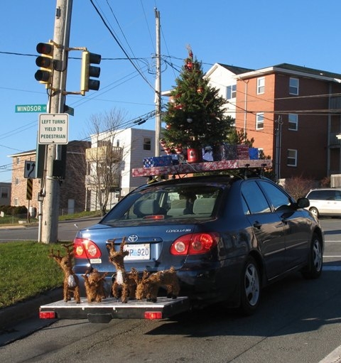 Te aztán jól felkészültél 🙂