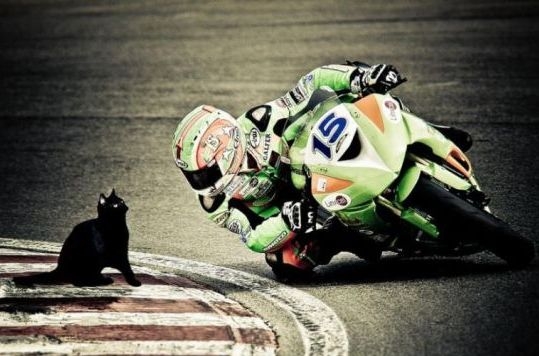 Előre figyelj, mert elesel 🙂