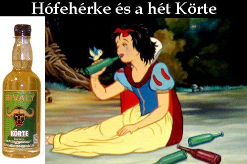 Egyszer volt, hol nem volt . . .