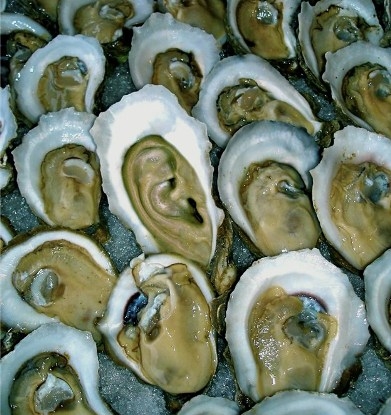 A szakács mai ajánlata