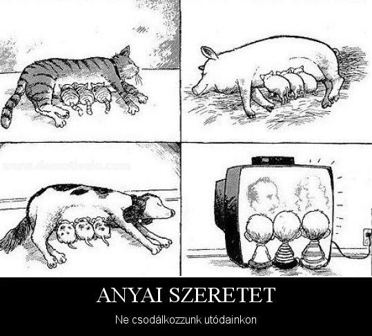Anyai szeretet