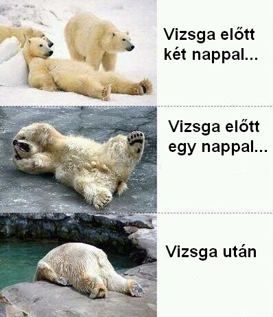 Vizsgák előtt . . . és után