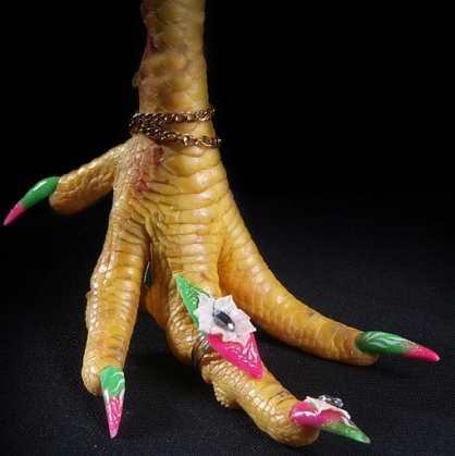 Már a csirkék is divatoznak