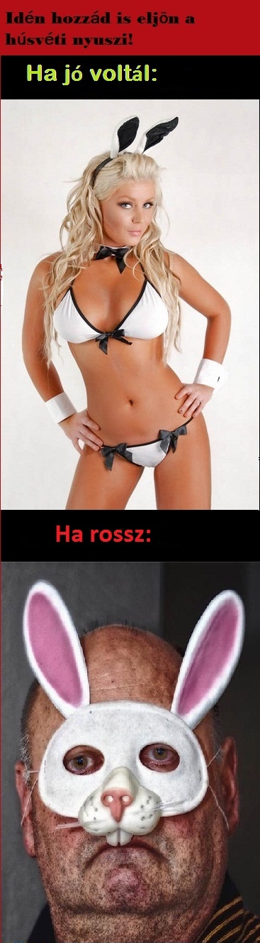 Hozzád melyik jön?