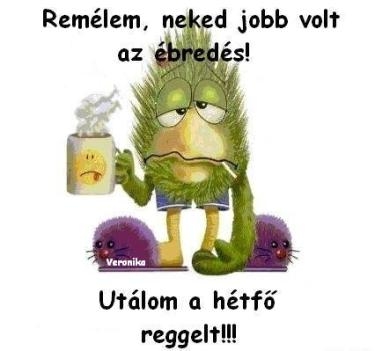 Így nézek ki most 🙁