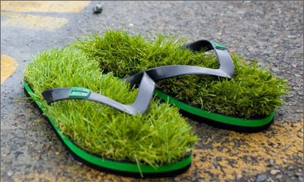 Fűpapucs - 31 dolcsi 