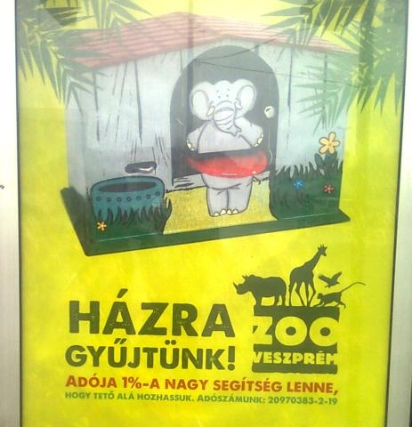 Eközben a Veszprémi állatkertnél . . .