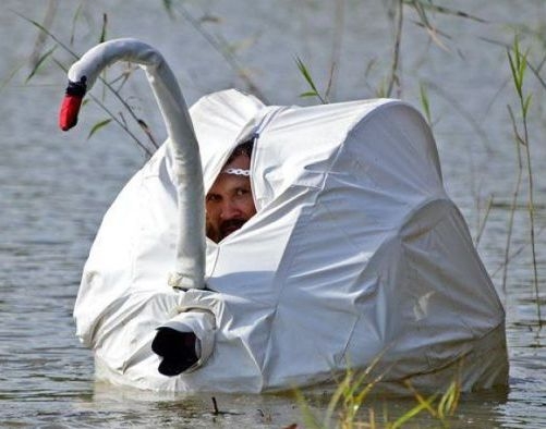 A kis rafinált . . .