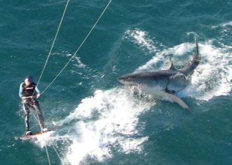 Egy meleg helyzet . . .