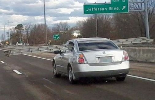 Nagy az isten állatkertje . . .