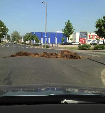 Mai napi szarunk . . . valahol Magyarországon