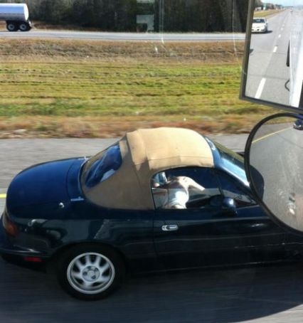 Eközben az autópályán - tud élni a csávó 🙂