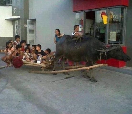 Egyszer mindenki megéhezik . . .