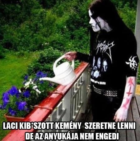 Leszabályzás...