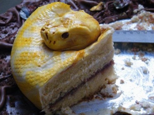 Piton torta