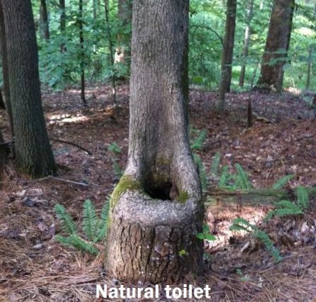 A természet lágy ölén . . .