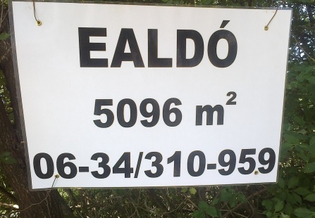 Eközben Tatabányán . . .