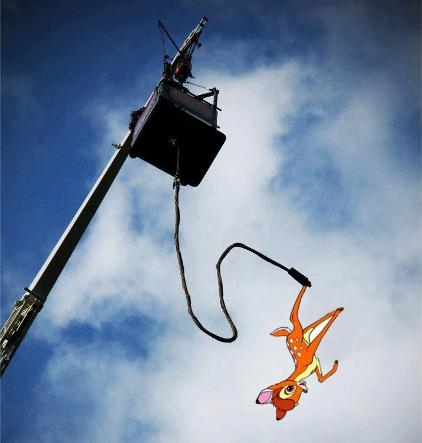 Napi fárasztó - Bambi jumping