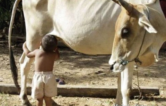 Eközben Indiában . . .