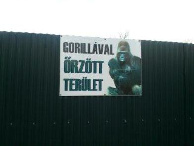 A kutya már nem menő . . .