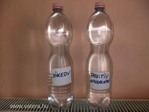 Szerdai ajánlat - Programozott víz