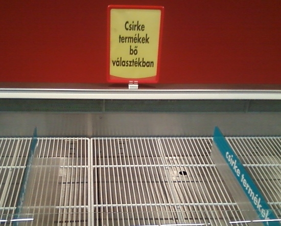 Eközben Debrecenben . . .