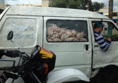 Érkezik az ebédnek való 🙁