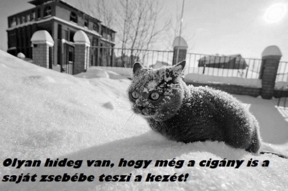 Rasszista időjárás jelentés