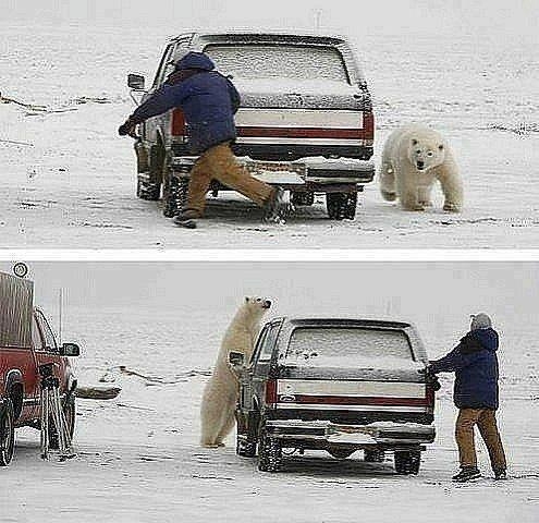 Megoldás hideg, vacogós délutánokra...