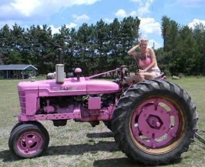 Megházasodott a gazda