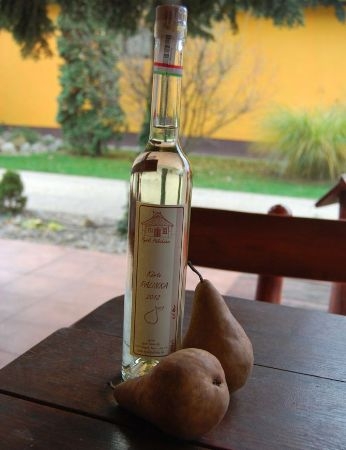 Ma gyümölcsnapot tartok