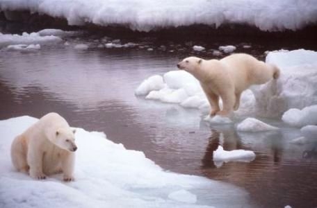 Eközben a Balatonon . . .