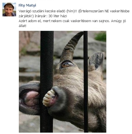 Nagy az Isten állatkertje . . .