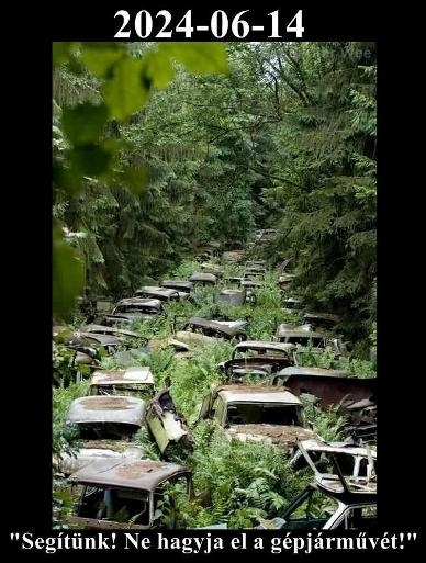 Mindenkin segítünk