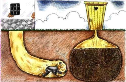 Szar ügy - szó szerint