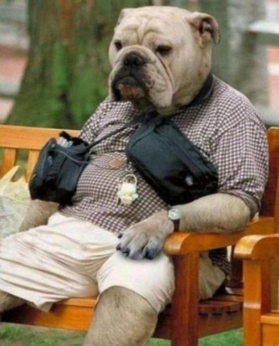 Napi photoshop - buszra várva :P