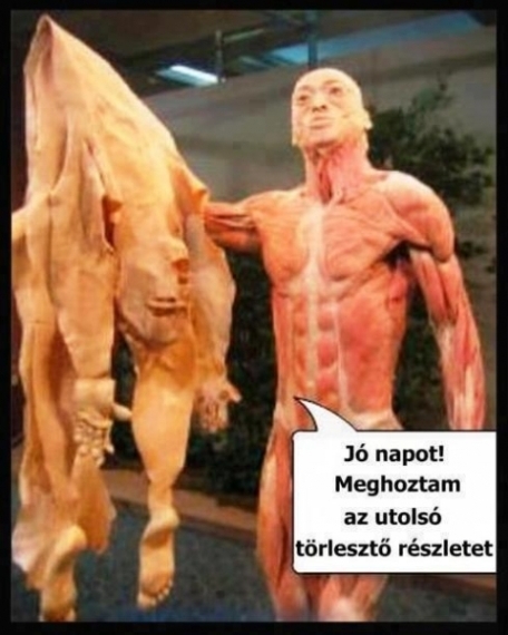 Végre lejárt 🙁