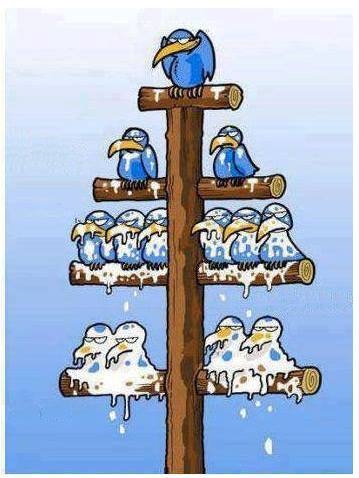 Társadalmunk felépítése