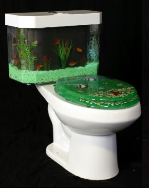 Különleges akvárium!?