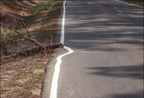 Lustaság felsőfokon