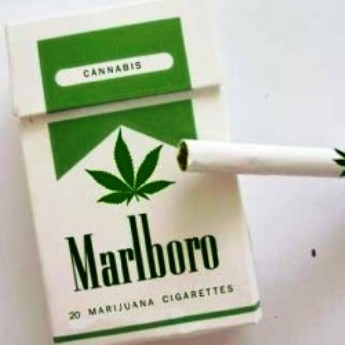 Bővítik a kínálatot!?