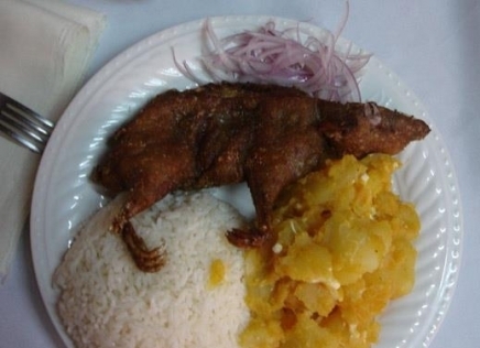 Jó étvágyat az ebédhez