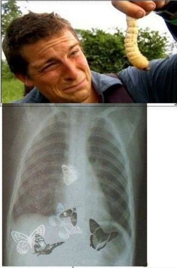 Napi tényfeltáró 🙂