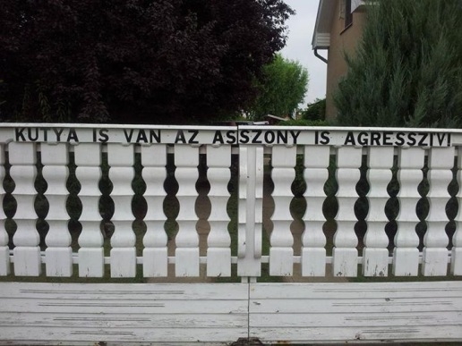 Eközben BAZ megyében . . .