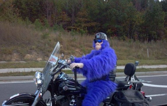 Hűvös az idő . . .