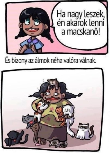 Andikának volt egy álma . . .