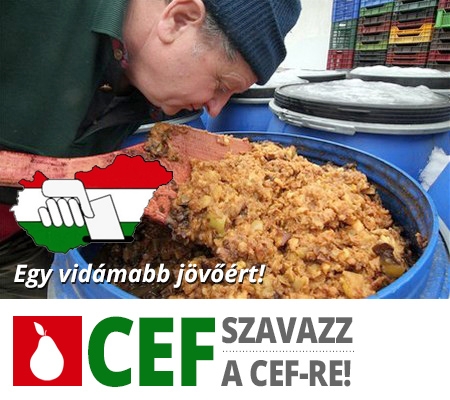 Szavazz a CEF-RE