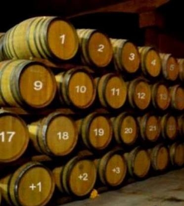 Adventi naptár pasiknak